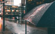 开云体育登录-蓝黄狂潮席卷A组，坎塞洛独造三球，哥伦比亚完胜印度开启2026世界杯征程