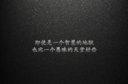 开云体育官网-橙色风暴中的孤星，2026世界杯D组，荷兰险胜罗马尼亚，C罗的绝唱与防线上的长城