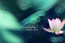 开云体育官网-致命一击的独白，2026世界杯E组，加纳险胜波兰，奥斯梅恩铸就永恒之瞬