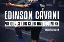 开云体育官网-马德里竞技完胜尤文，伊布刷新纪录