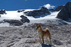 开云体育中国-联合杯，正在翻盘拉沃尔杯们的统治