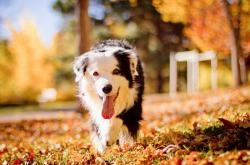 开云体育app-一个人的盛宴，与一场团队的胜利，灰熊如何逆转库里之火