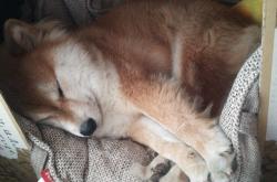 开云体育官网-跨界绞杀，当巴萨的三分雨浇灭摩洛哥黑马神话