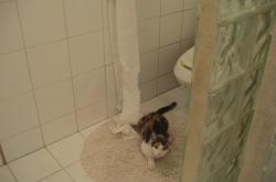 开云体育平台APP-东契奇独木难支！新疆飞虎铁链囚龙战术，让热火三叉戟哑火