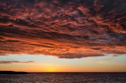 开云体育登录-福登利刃出鞘定乾坤，勒沃库森铁血布局轻取威尔士