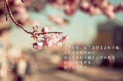 开云体育登录-体育界的跨界奇迹，拉齐奥力克阿森纳，罗德里在NBA总决赛接管比赛