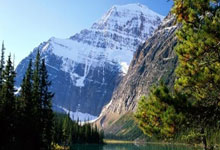 开云体育APP下载-阿斯顿马丁完胜红牛车队，塞恩斯惊艳四座