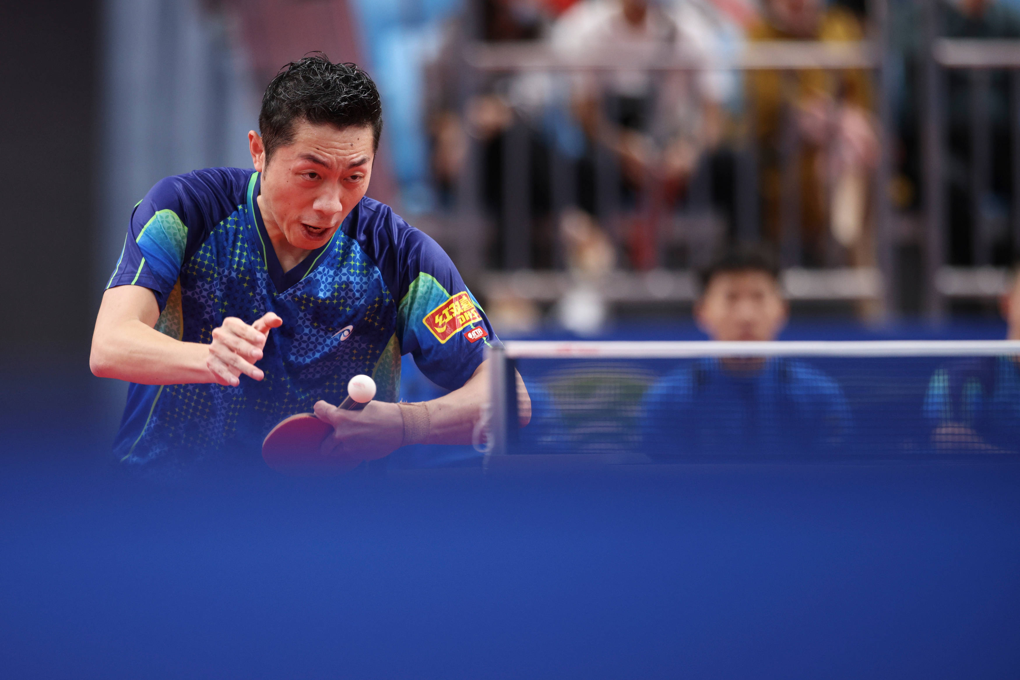 包含波兰乒乓球队鏖战中国乒乓球队，许昕打破历史纪录的词条