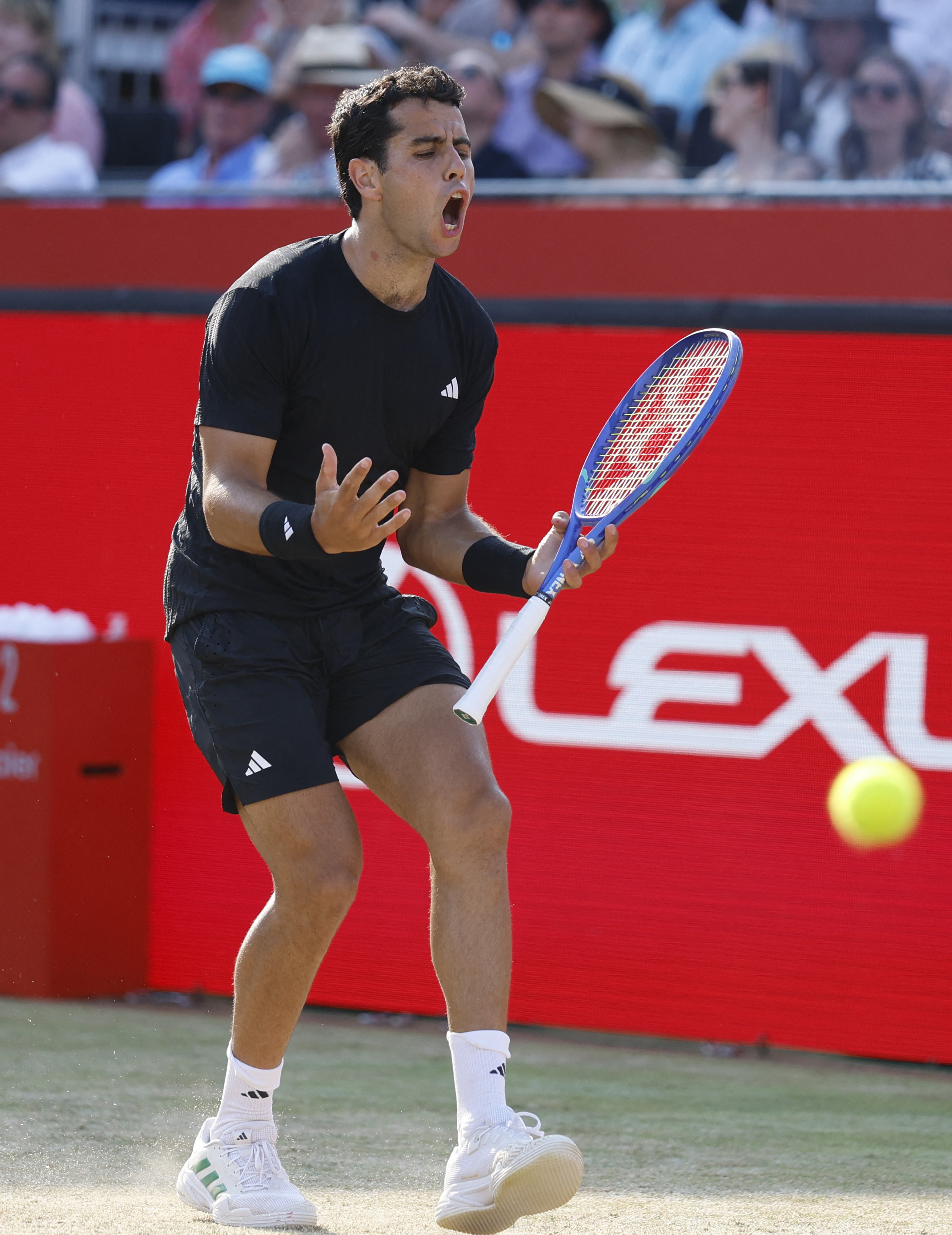 意大利网球队爆冷英国网球队,阿尔卡拉斯绝境逆转 意大利网球队爆冷英国网球队,阿尔卡拉斯绝境逆转