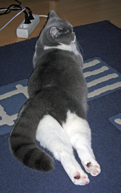 数据不会说谎，塞恩斯如何在0.2秒的毫厘间，将迈凯伦钉上技术耻辱柱