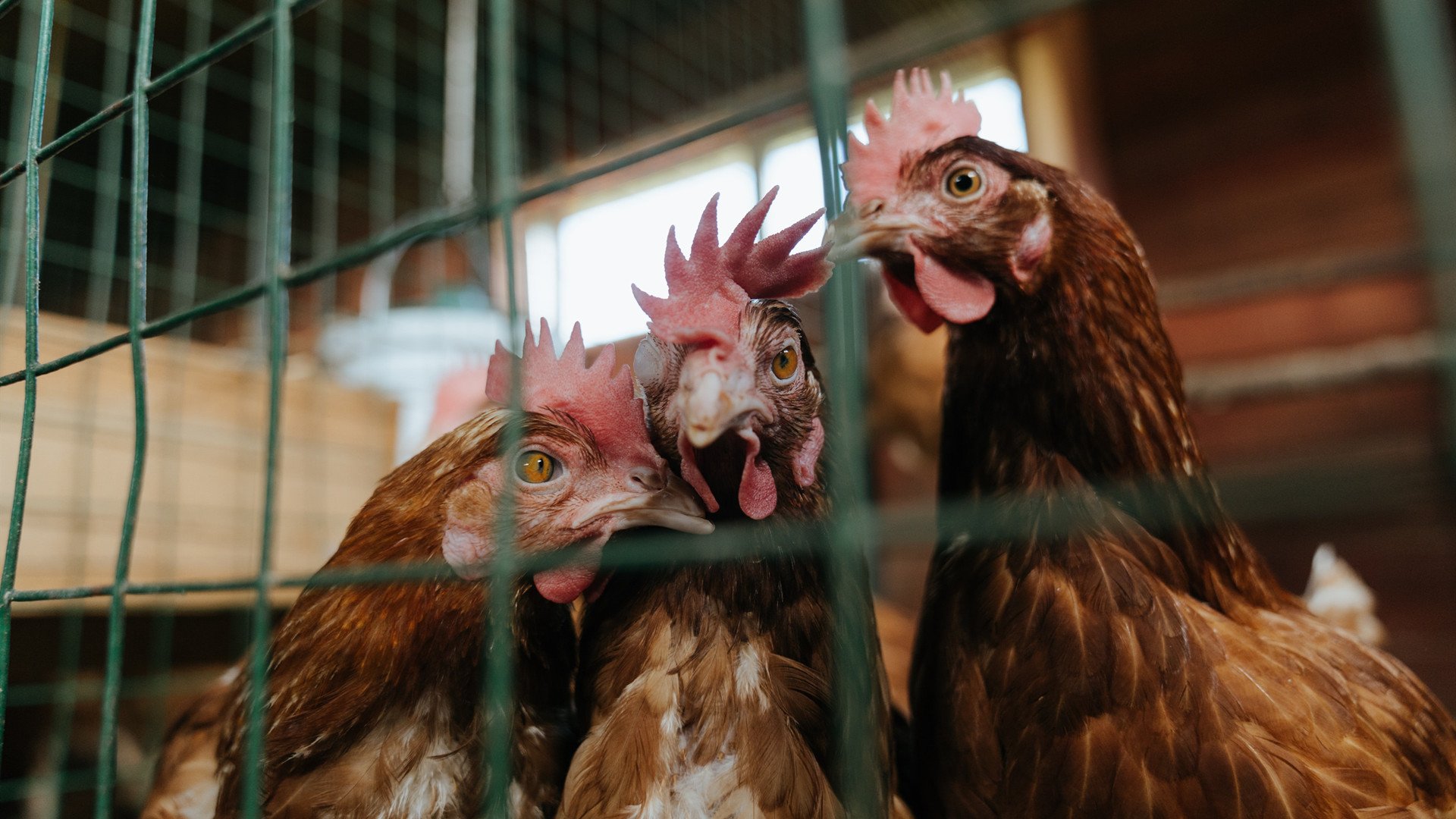 时空错位的绝杀，穆雷的红土与硬地炼狱双重奏