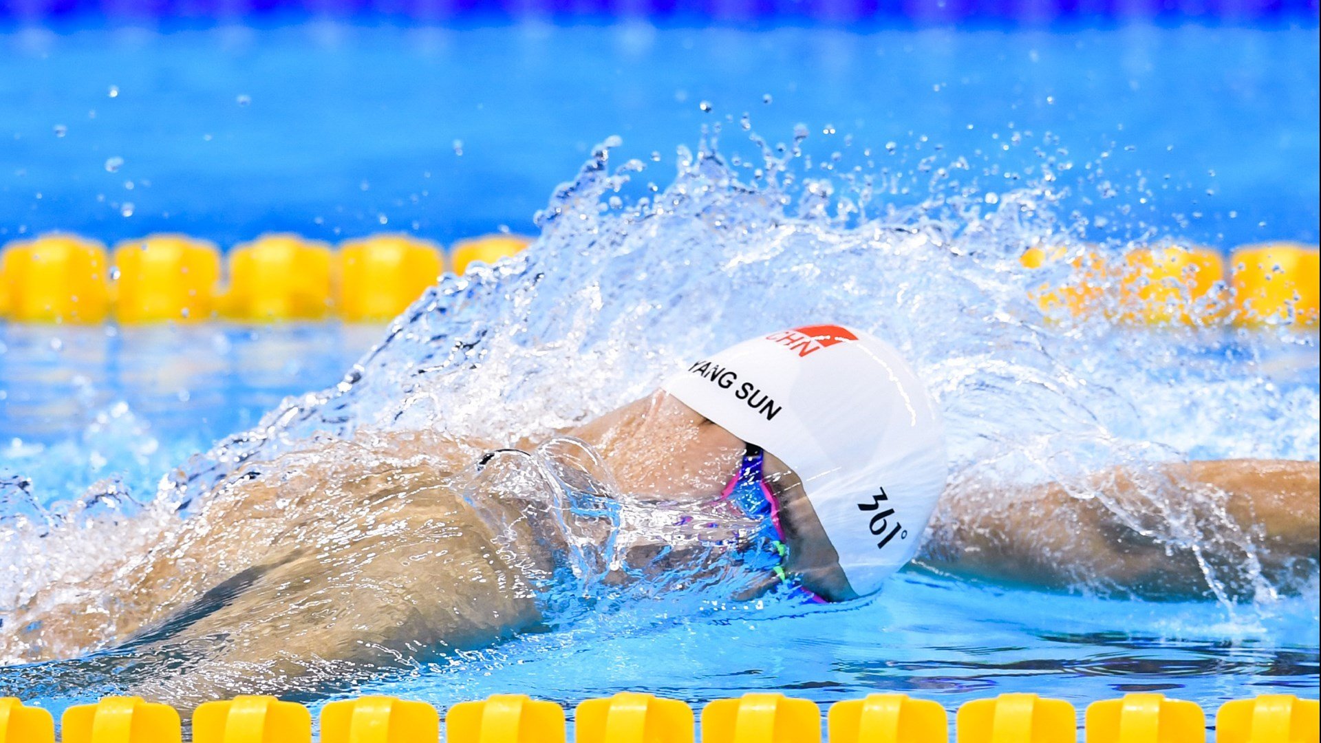 别样龙熊大战，2026世界杯半决赛上演跨界对决