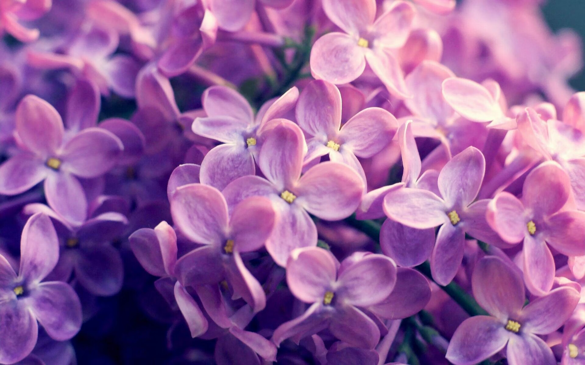 德罗赞52分难救主！广厦跨界对决冰封公牛