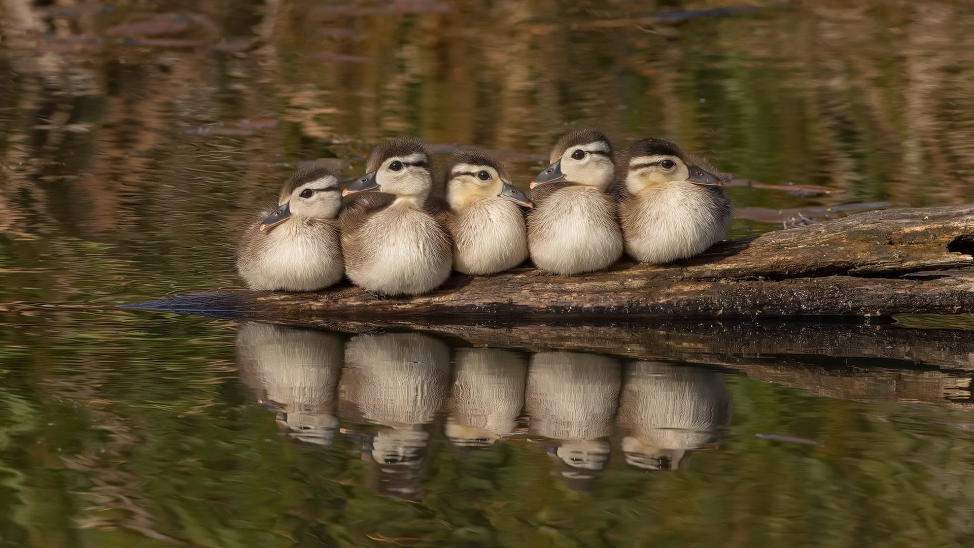 关键战中的冷门与稳定，几内亚淘汰中国，德布劳内不手软