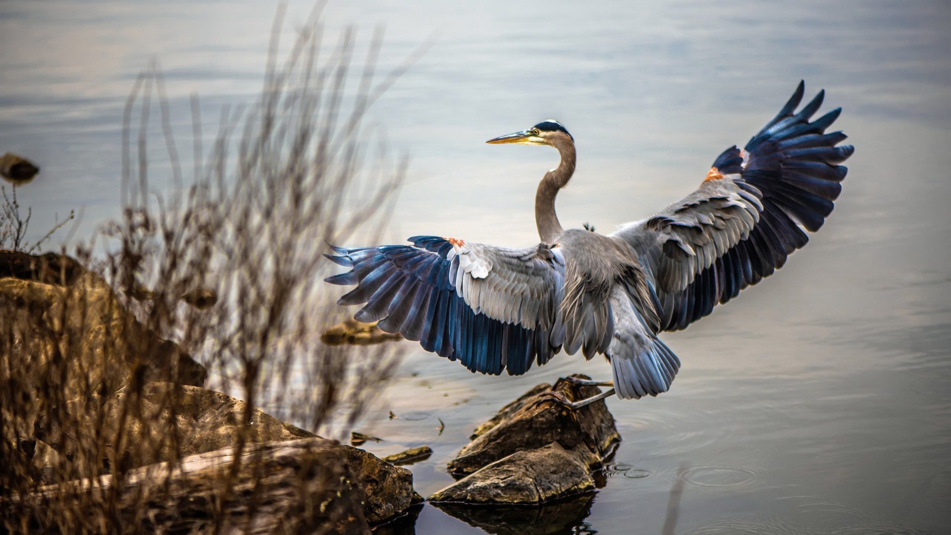 逆转之魂，从斯坦福桥到阿布扎比