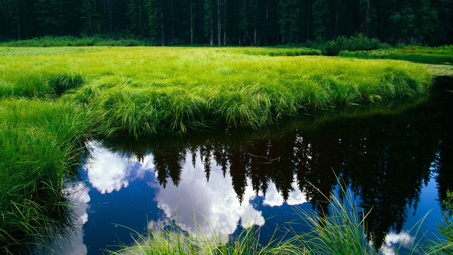 欧冠决赛之夜，当塔图姆将防守铸成艺术，世人终见那被遗忘的唯一性