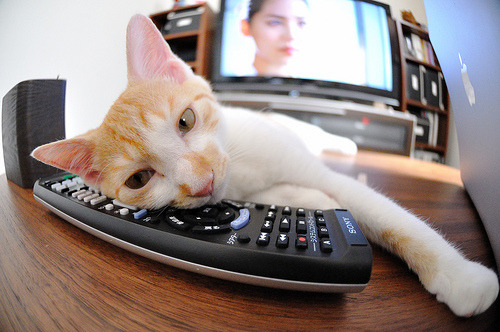 多维篮球叙事,从76人鏖战山西到切特欧冠封神