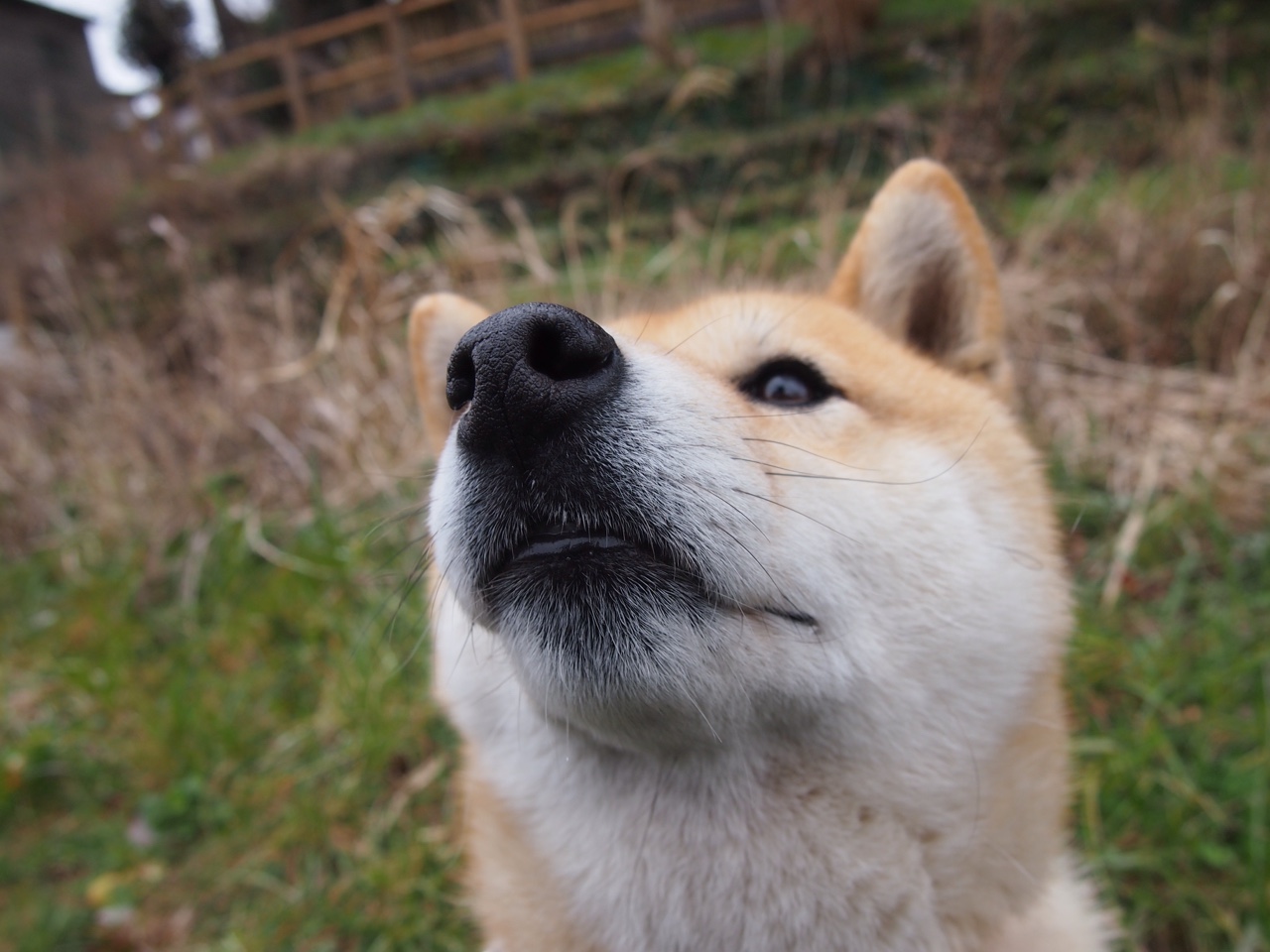 星球撞击时刻，沉默的利拉德如何成为篮网与广厦之战的风暴眼？