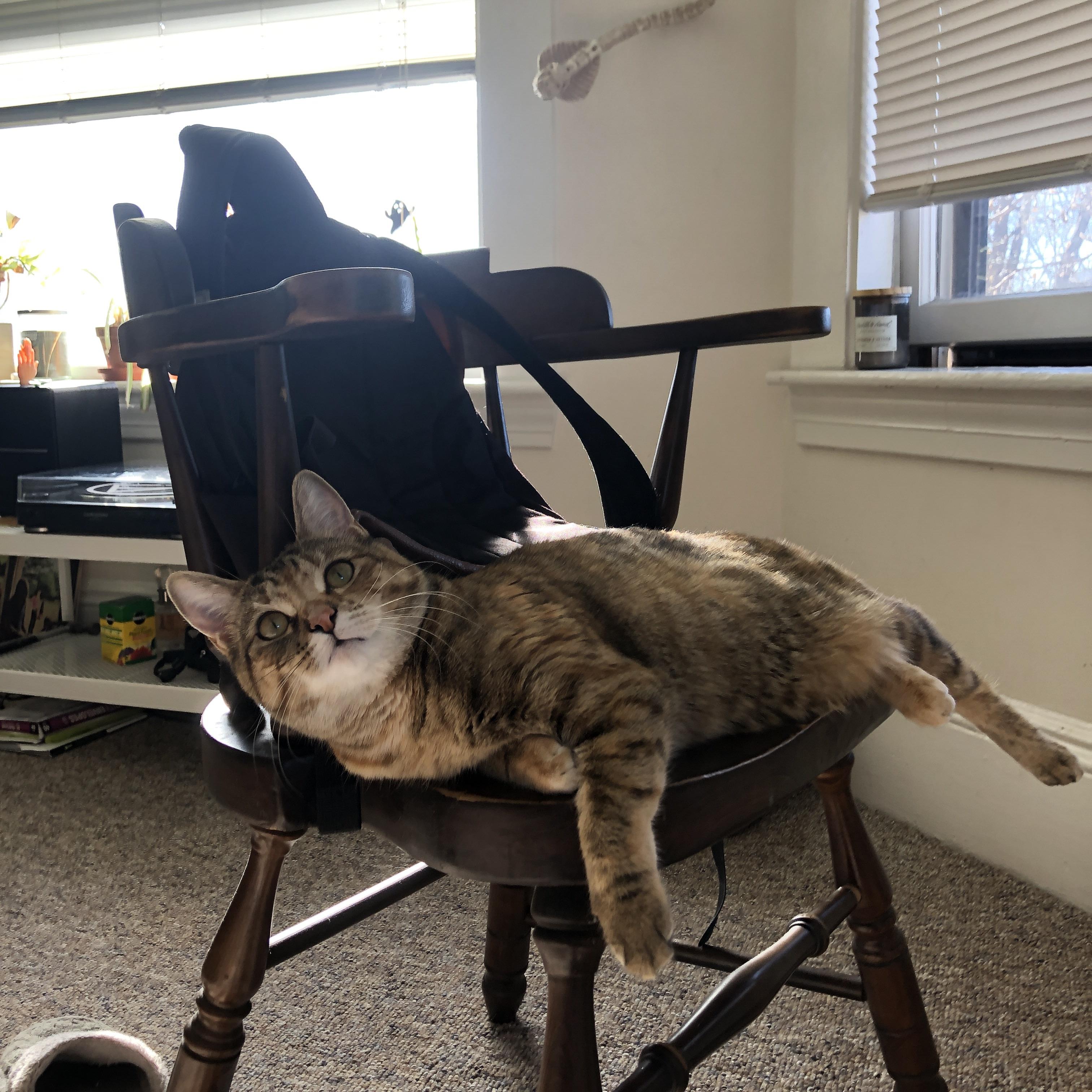 1.奇迹南半球，新西兰力克荷兰，哈弗茨一锤定音改写足球叙事