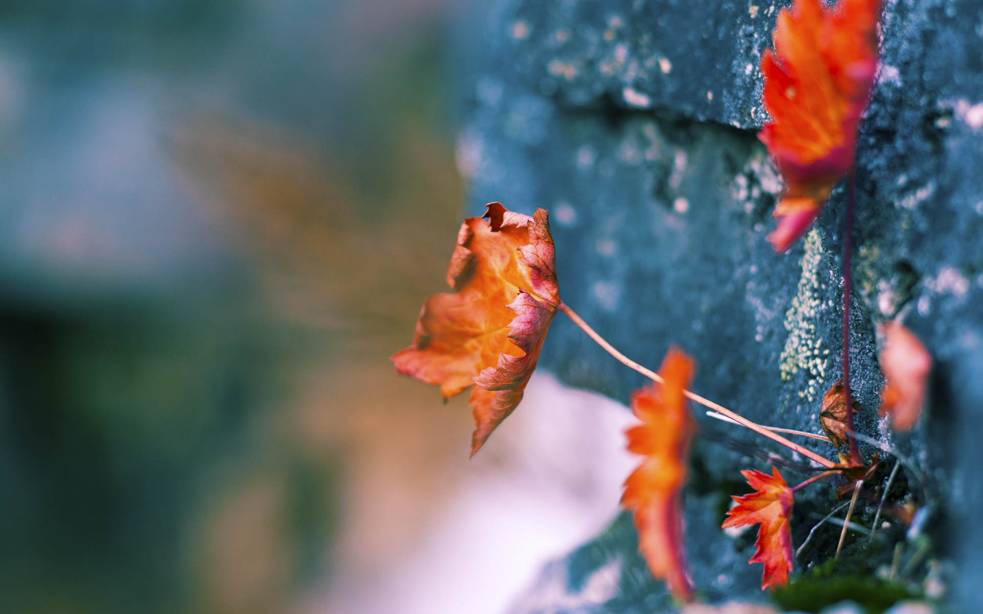 唯一性,统治,在两个平行世界的同一种表达