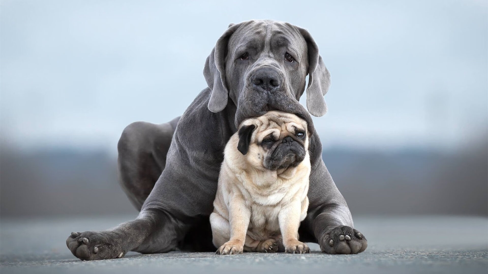 生死一瞬，西亚卡姆展翅，老鹰啄碎爵士逆转神话