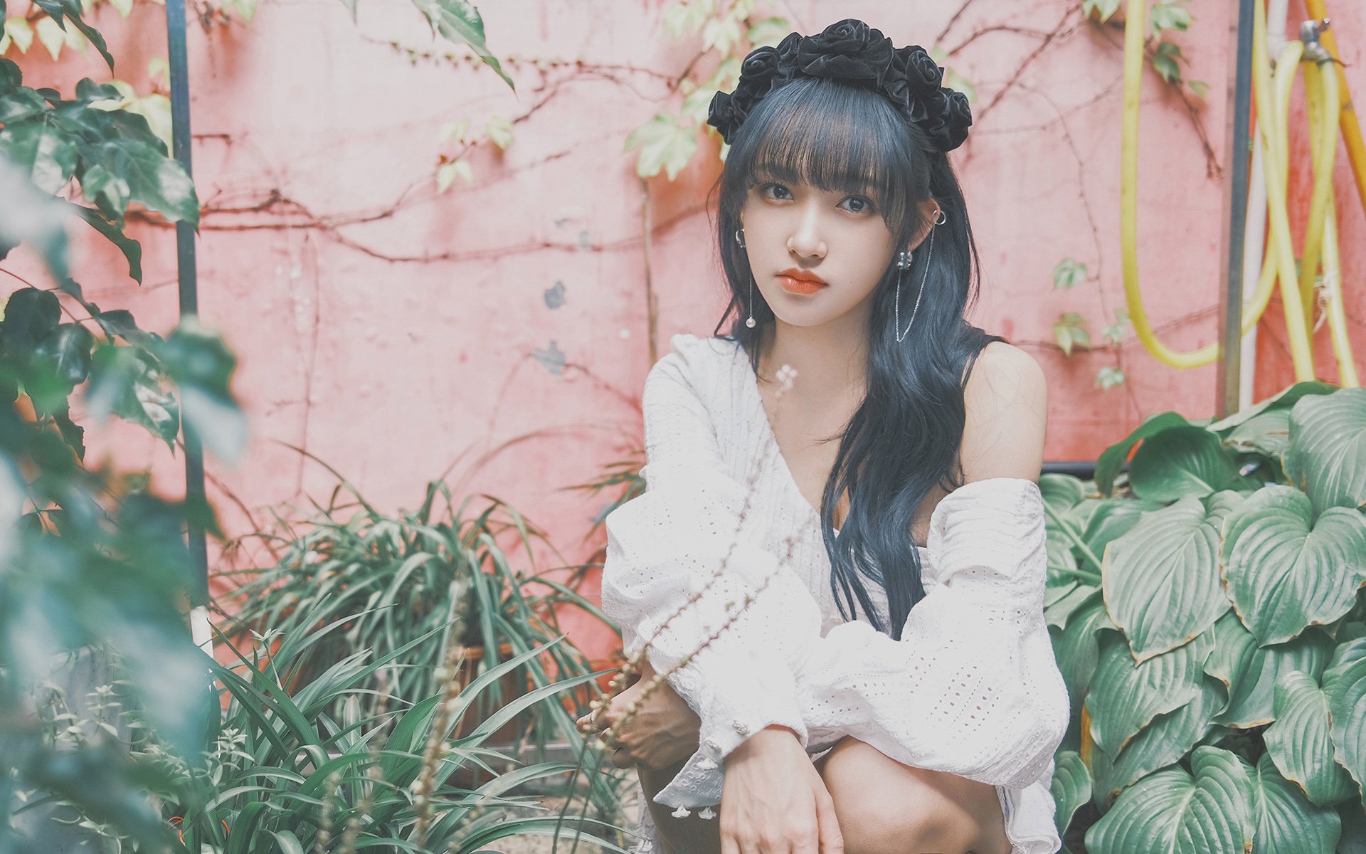 冰与火的碰撞,当枫叶篮球终结雷鬼节奏