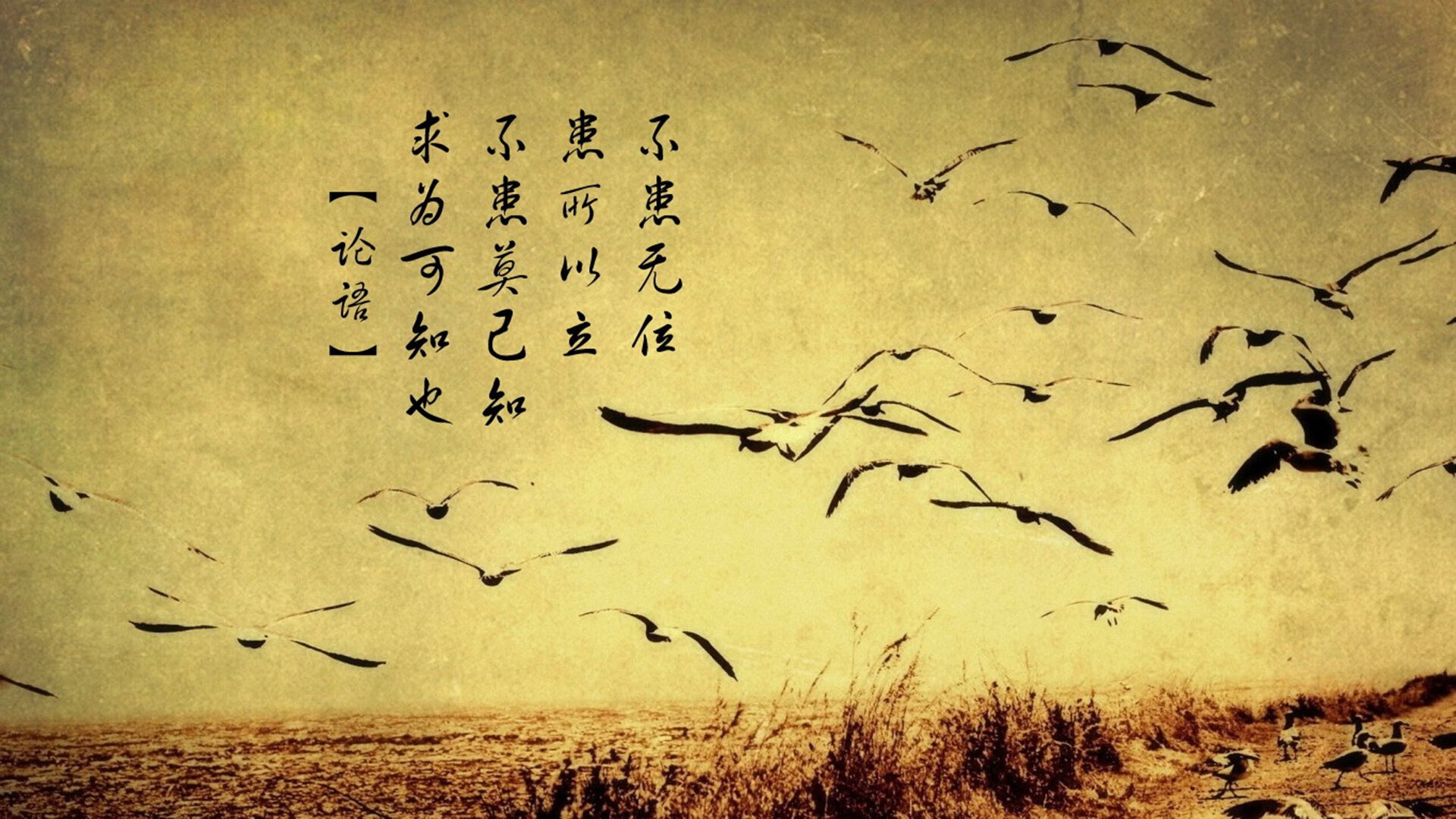 奥运周期启幕之夜，德里赫特用钢铁防线书写国家队新纪元