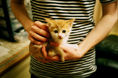 三分闪电,勇士单节风暴与小贾伦的全球冲击波