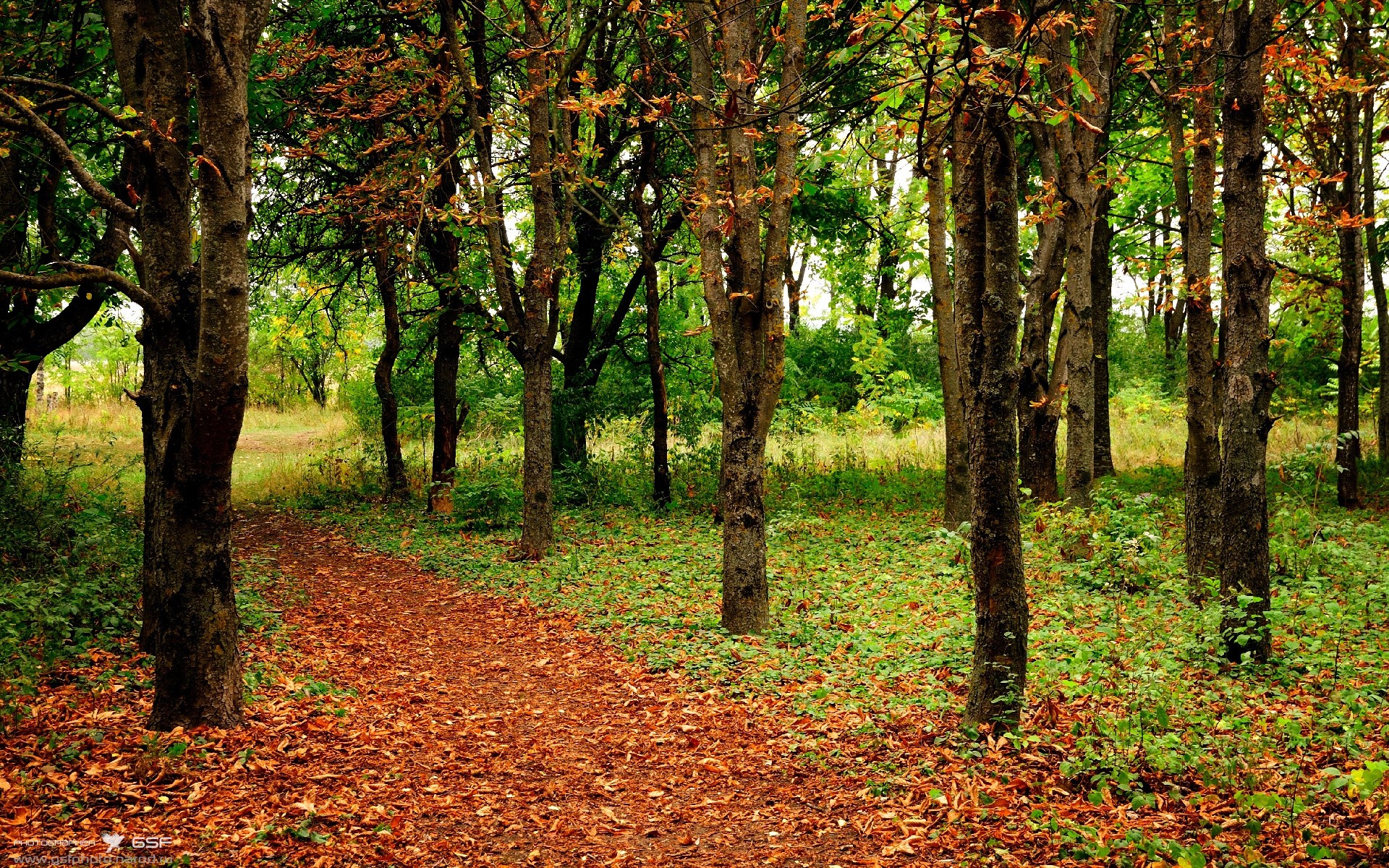 英雄主义与逆袭神话,迪巴拉闪耀时,哥斯达黎加如何让瑞士时钟停摆?