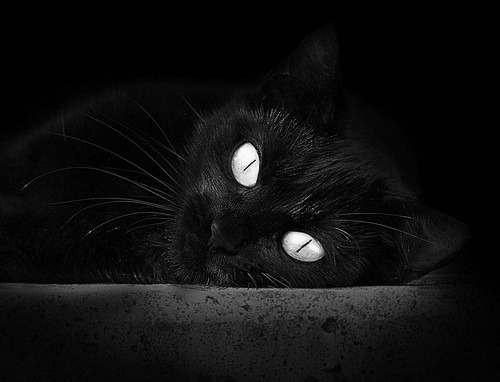 太阳焚城,浓眉破晓,当团队篮球的极限遇见孤星的重生