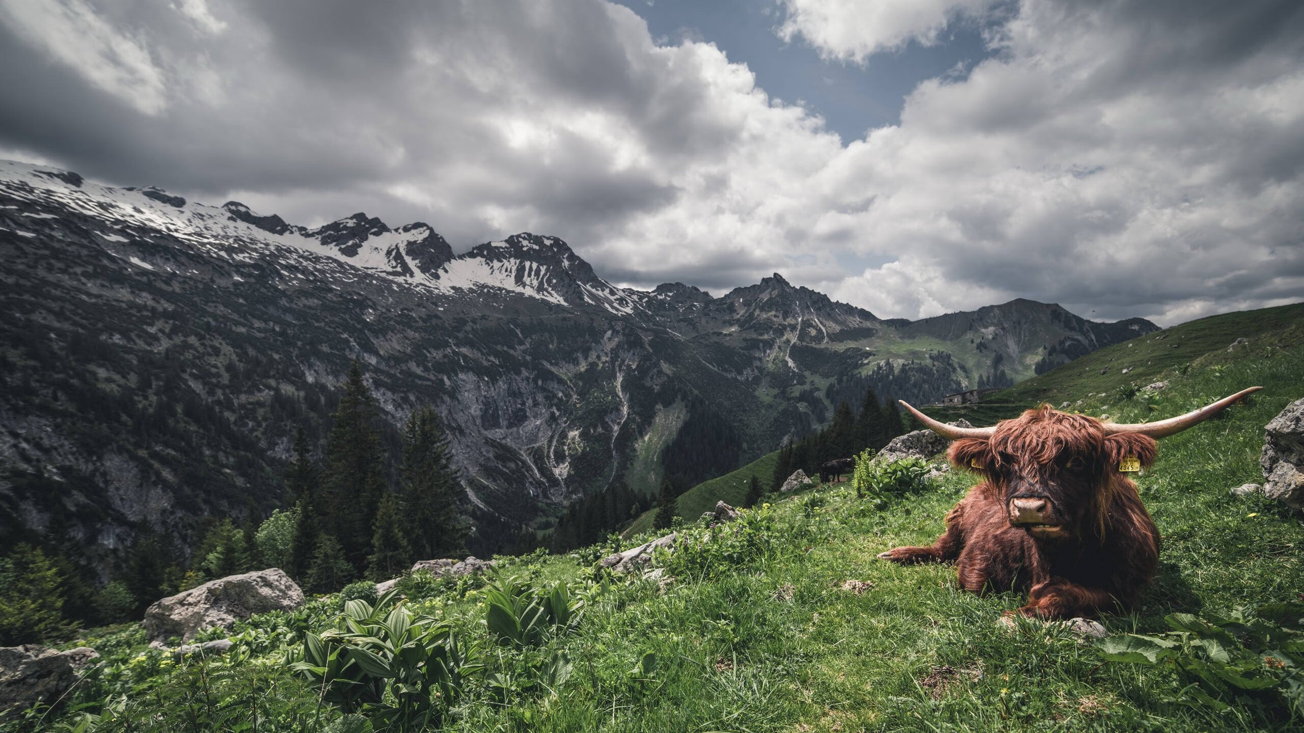 当安哥拉铁骑碾过都灵城墙，阿坎吉关键回合一箭穿心，诠释淘汰赛冰冷法则