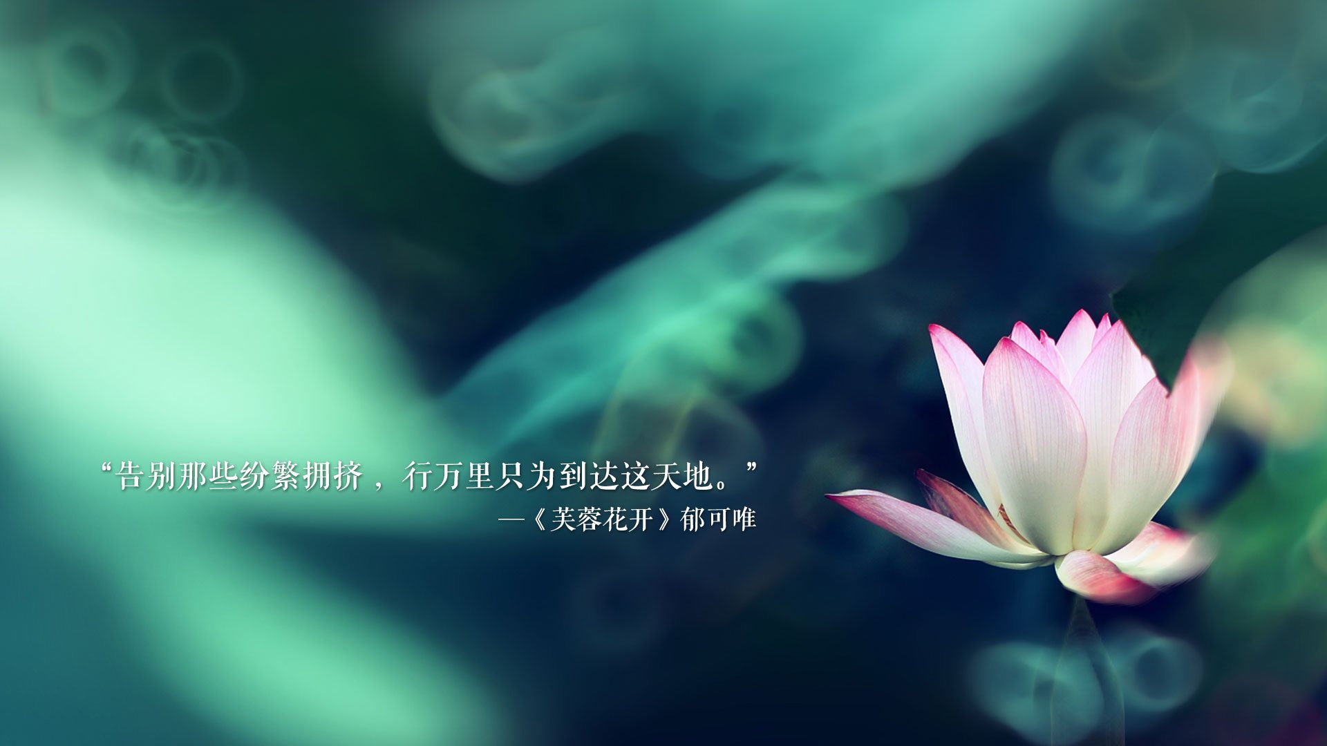 致命一击的独白,2026世界杯E组,加纳险胜波兰,奥斯梅恩铸就永恒之瞬