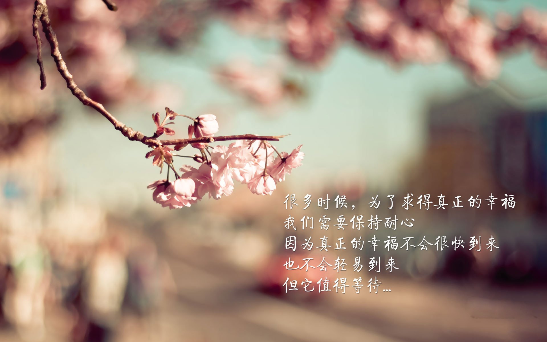 冰与火之歌，美加墨世界杯预演，芬兰逆转瑞典，齐耶赫的致命一击照亮北境